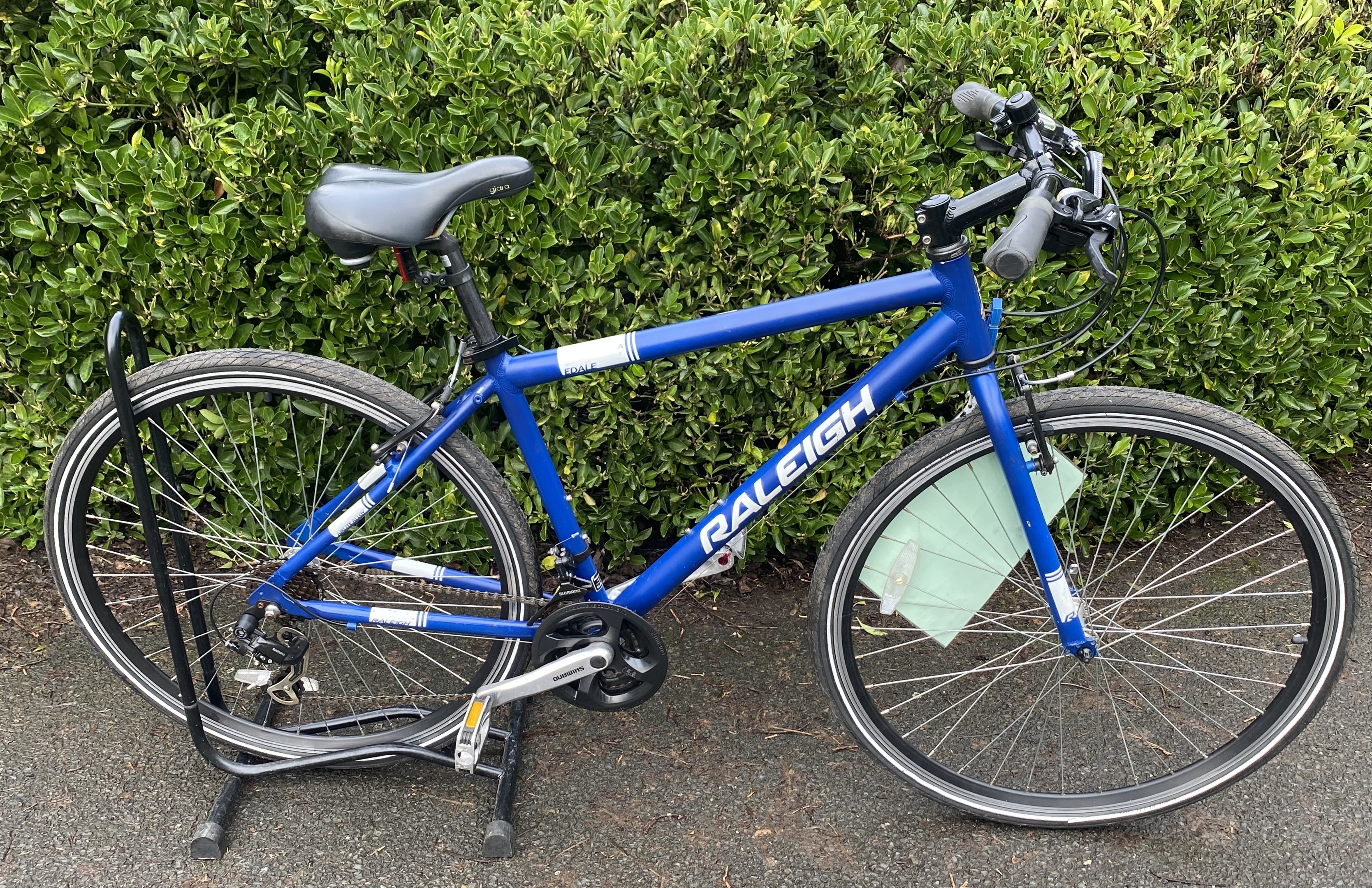 Raleigh Record Ace L'eroica