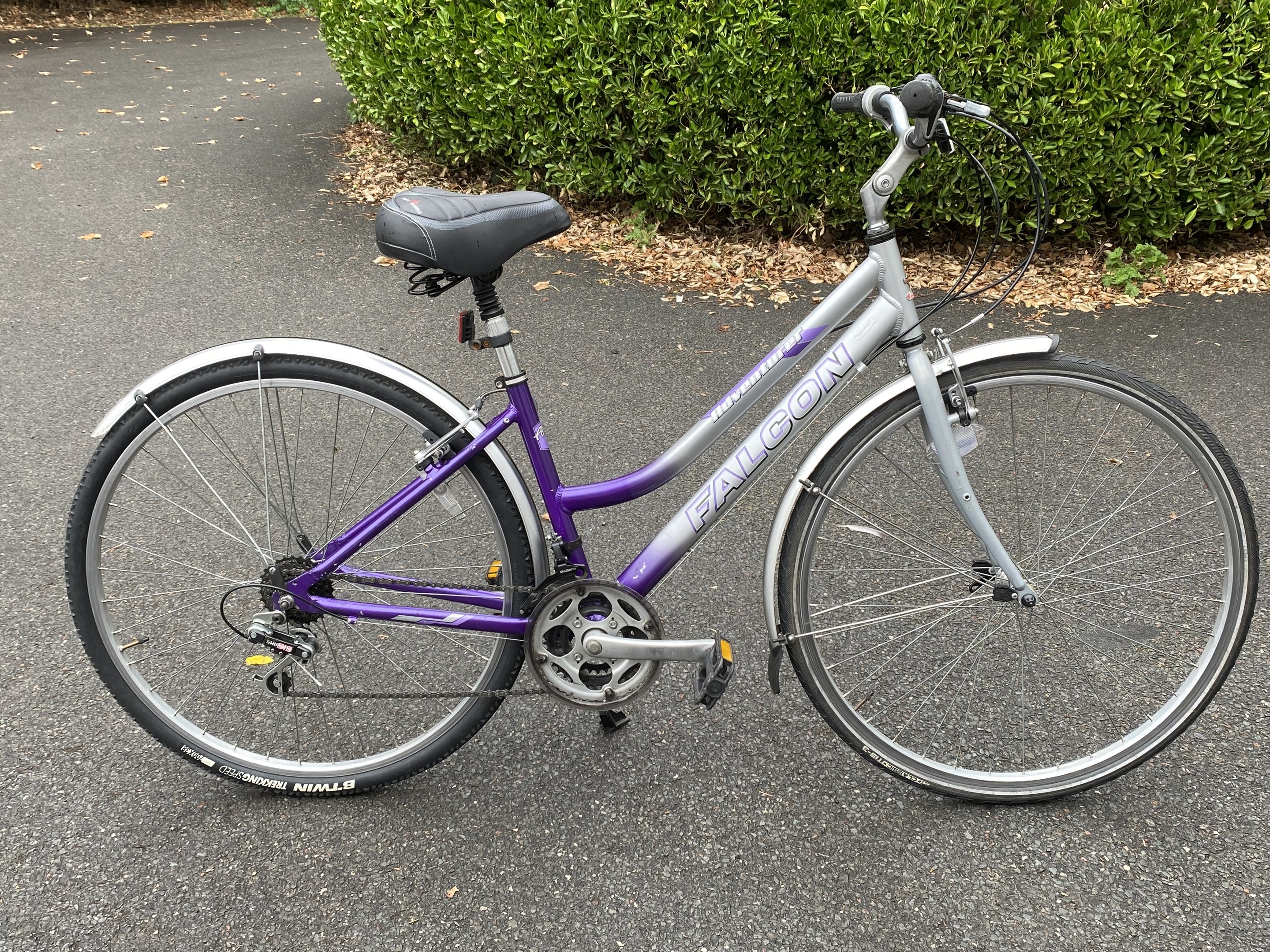 Raleigh Record Ace L'eroica