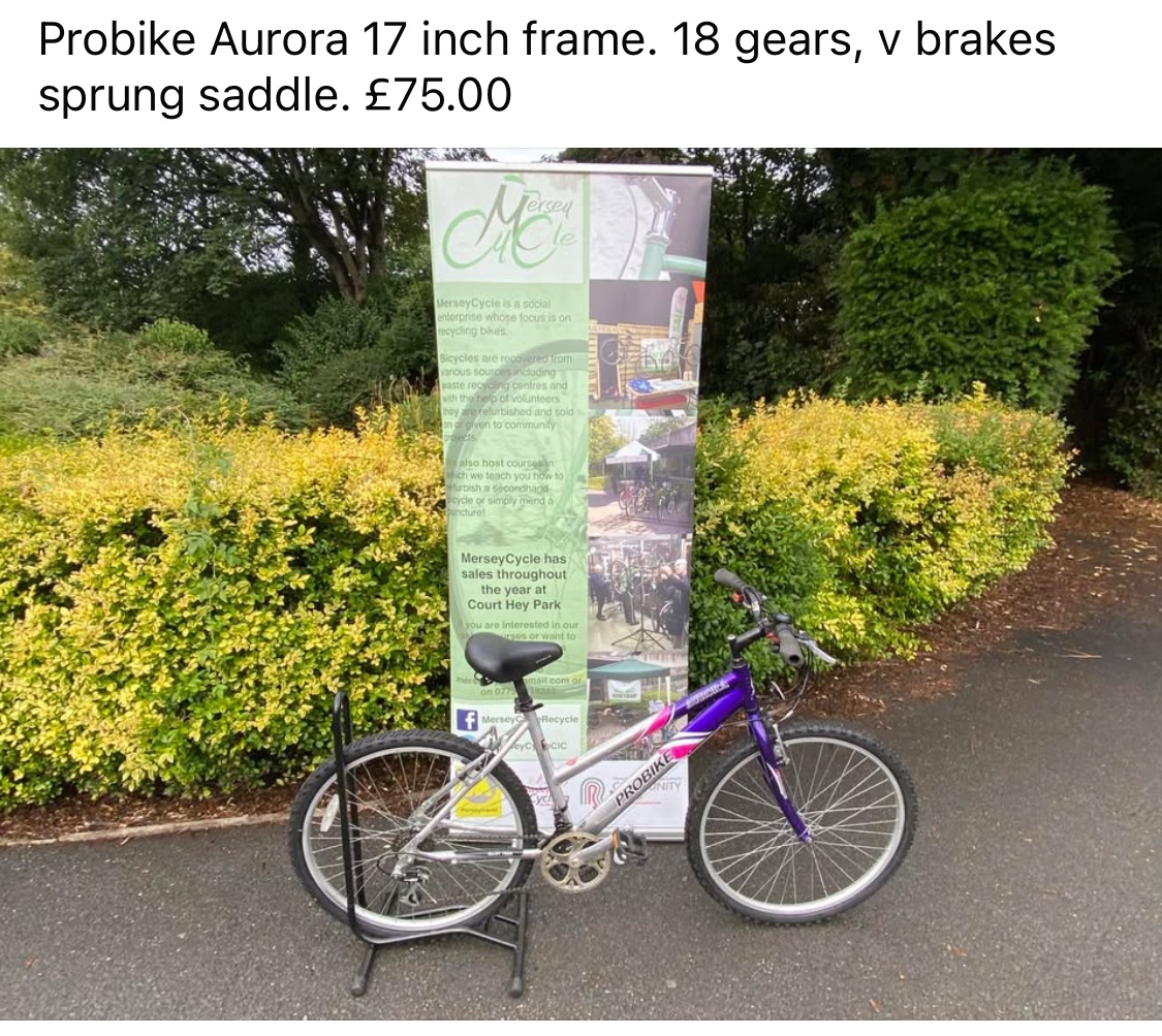 childs raleigh atb 