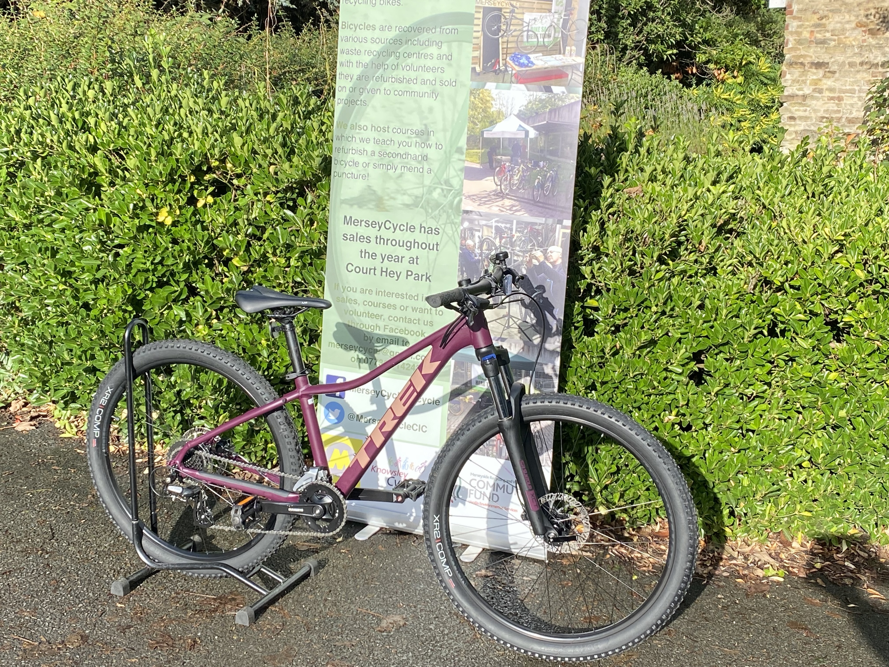 Trek Marlin 6 small frame matte mulberry