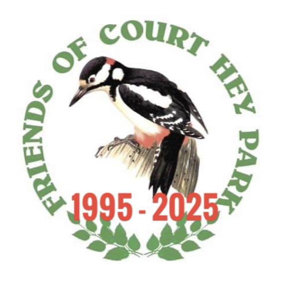 Friends Court Hey Logo 